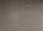 Captura de pantalla 2026-03-12 095453